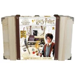 D'arpèje Juegos Educativos*Cofre De Curiosidades Harry Potter Wizarding World