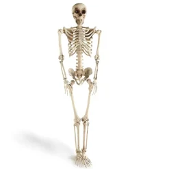 El Corte Inglés Disfraces Y Complementos*Esqueleto Articulado De Halloweenel Corte Ingles