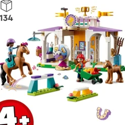 LEGO Puzzles Y Construcciones*Juguete De Construccion Clase De Equitacion Friends