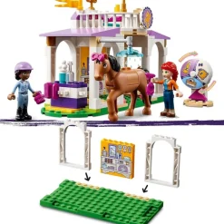 LEGO Puzzles Y Construcciones*Juguete De Construccion Clase De Equitacion Friends