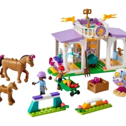 LEGO Puzzles Y Construcciones*Juguete De Construccion Clase De Equitacion Friends