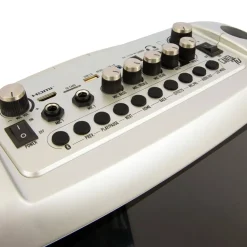 Famosa Electrónicos*Sistema De Audio Y Video Canta Tu Pro